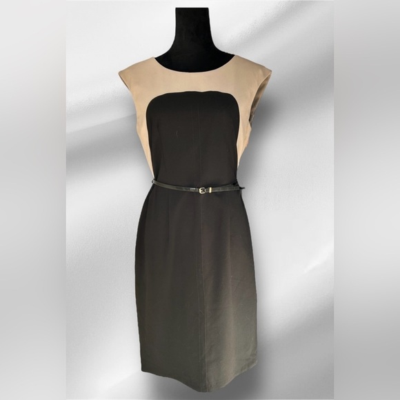 Calvin Klein Dresses & Skirts - Calvin Klein colorblock pencil dress Sz 8 with small belt 011
